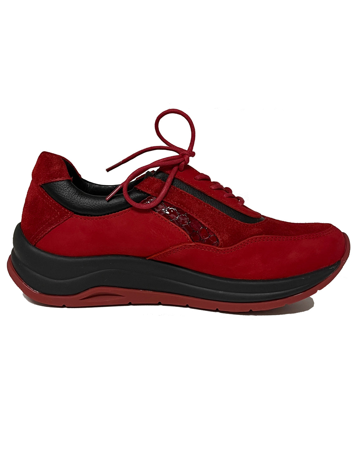 WOLKY 00975 CUPAR LACE SHOE - RED COMBO