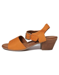 CABELLO AVANOS BUCKLE BACK STRAP - ORANGE