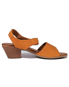 CABELLO AVANOS BUCKLE BACK STRAP - ORANGE