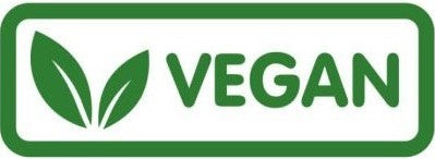 Arcopedico GAIA Slip-On Sneaker Shoe - Green