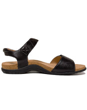 Load image into Gallery viewer, TAOS PIONEER DOUBLE VELCRO SANDAL - BLACK
